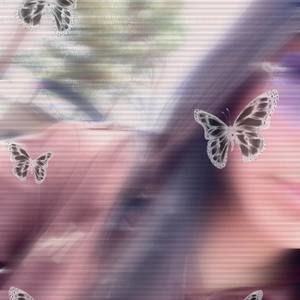 Meet your Posher, Karla